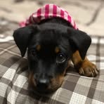 Michele Sievert - Facebook