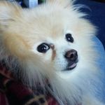 Michelle Sikes - @michellesikes - Instagram