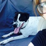 Silas Fleming - @silas_michelle - Instagram