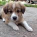 Michelle Simoes - Facebook