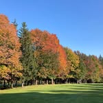 Michelle Sirois - @misirois - Instagram