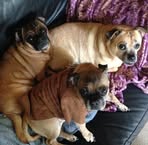 Michelle Slack - Facebook