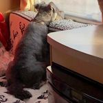 Michelle Slack - @michelle.slack.12 - Instagram