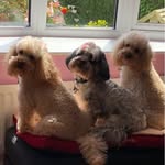Michelle Slade - @y4wky - Instagram