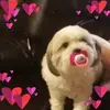 michelleslusherlo - @michelleslusherlo - TikTok