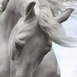 Michelle Smart - @michellesmart2000 - Instagram
