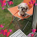 Michelle Smyth - @smythmichelle1gmail.com_ - Instagram