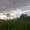 Michelle - @michelle.socha4 - TikTok