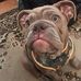 Michele Spector - Facebook