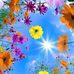 Michelle Sperry - Facebook