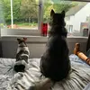 michellespiers7 - @michellespiers7 - TikTok