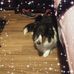 Michelle Spooner - Facebook