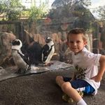 Michelle Spooner - @funsize4_10 - Instagram