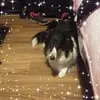 Michelle Spooner - @michelle.spooner77 - TikTok