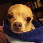 Michelle Spradlin - @spradlin358 - Instagram