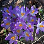 Michelle Sprung - @supportthenature - Instagram