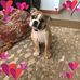 Michelle Spry - Facebook