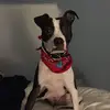 Michelle Staggs - @michelle.staggs3 - TikTok