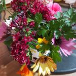 Michelle - @michelle_stallman_neven - Instagram
