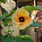Michelle  Stallman Neven - @michellestallmanneven - Instagram