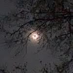 Michelle Stanek - @sarimdragon - Instagram