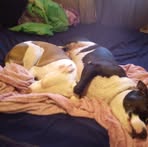 Michelle Statzer Berring - Facebook