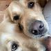 Michelle Chave Stavrou - Facebook