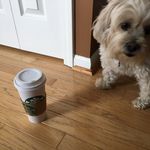 Michelle Stead - @mms4761 - Instagram