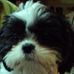 Michelle Stebner - Facebook