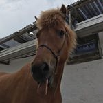 Michelle Steensen - @michelle_steensen - Instagram