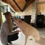 Michelle Steinke - @michelle_steinke - Instagram