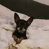 Michelle Steinke - @michelle.steinke6 - TikTok