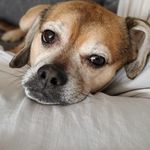 Michelle Steinke - @michelle.steinke.58 - Instagram