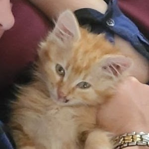 michellestelzer92 - @michellestelzer92 - TikTok