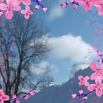 Michelle Stepan - Facebook