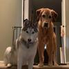 michellestjohn71 - @michelle.stjohn6 - TikTok