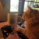 Michelle Stoddard - @michelle.stoddard - Instagram