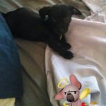 Michelle Stoddard - @michelle.stoddard.372 - Instagram