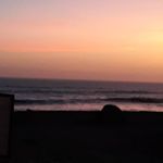 michelle stoddard - @michelle_the_traveling_dog_mom - Instagram
