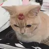 michelle..stories - @michelle..stories - TikTok