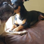 Michelle Stowe - @zuesandariesstowe - Instagram