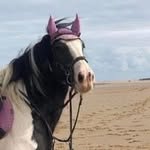 Michelle Stowe - @michellestowe1 - Instagram