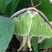 Michelle Strausbaugh - Facebook