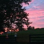 Michelle Straw - @straw7214 - Instagram