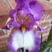 Michele Mills Strode - Facebook