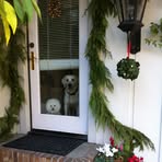Michelle Suchy - Facebook