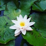 Michellesuchy09 - @michellesuchy09 - Instagram