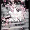 michellesuesse - @michellesuesse - TikTok