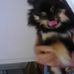 Michelle Sweatt - Facebook
