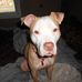 Michelle Sweatt Barr - Facebook